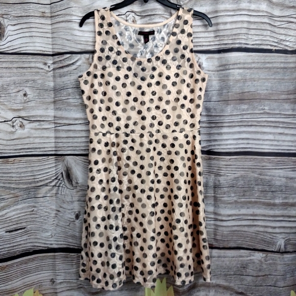 Skater Dress Floral Lace Ove… - Picture 11 of 12